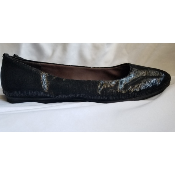 Black Flats - Picture 4 of 5